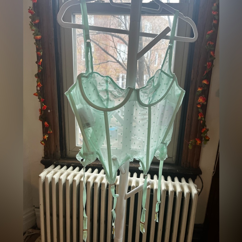 NWT Savage Fenty lingerie set